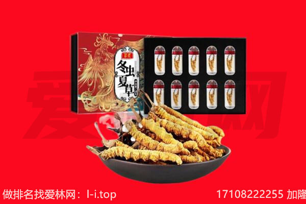 眉山丹棱回收虫草.jpg
